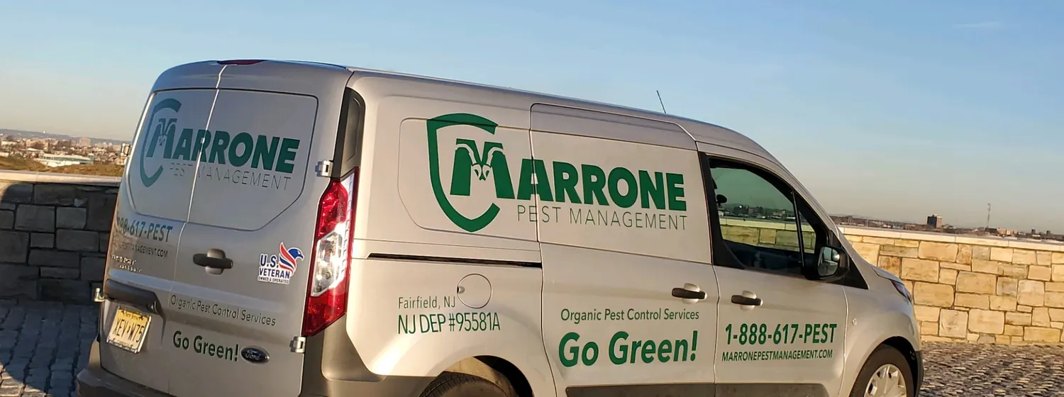 A Marrone Pest Management van at golden hour, the company logo across its side