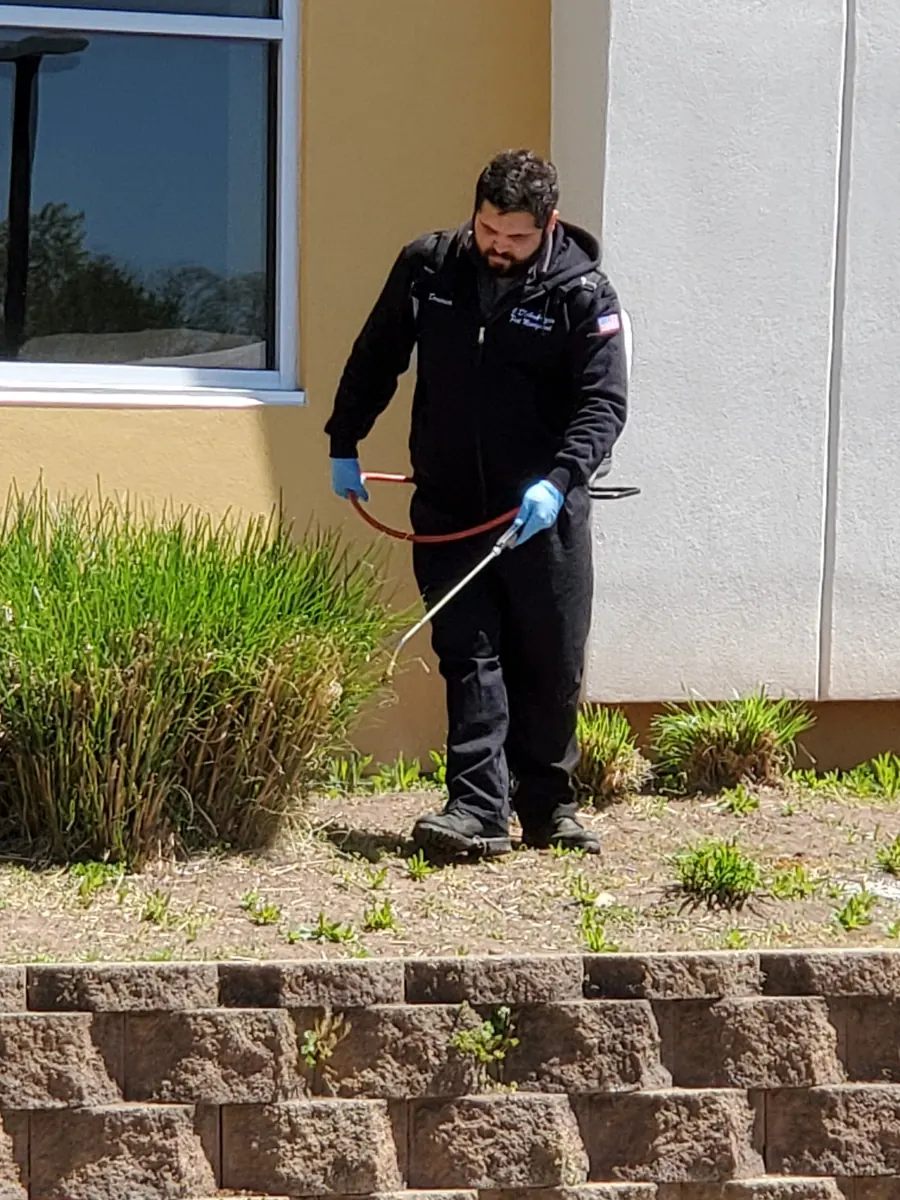 A Marrone technician treating shrubs along a commercial building exterior