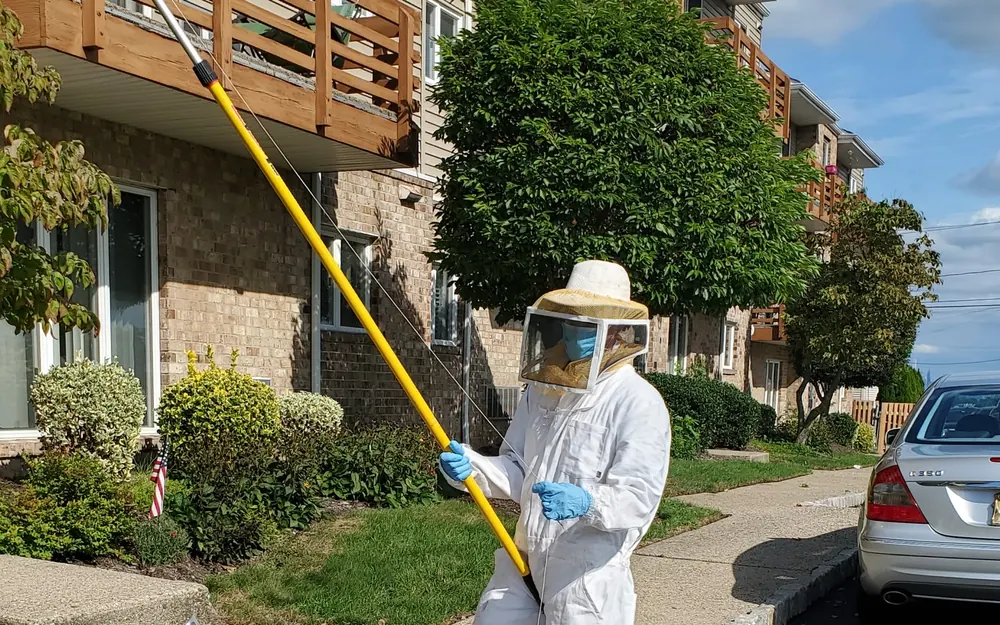 A Marrone technician in a full bee suit removing a wasp nest from a balcony with a pole